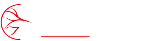 Logotipo del Dr. Ranulfo de Jesús Zendejas Valdez, angiólogo y cirujano vascular en León