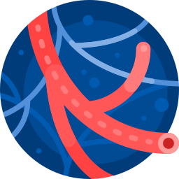 medico angiologo en leon